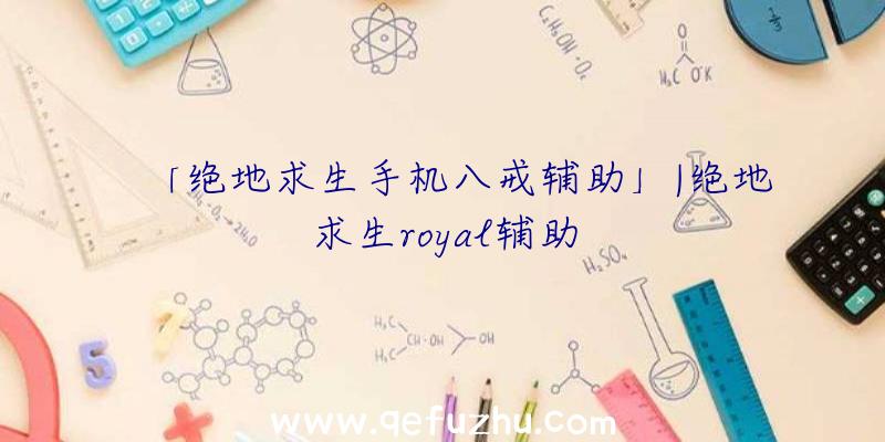 「绝地求生手机八戒辅助」|绝地求生royal辅助